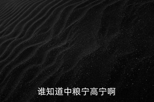 寧高寧為什么離開華潤，誰知道中糧寧高寧啊