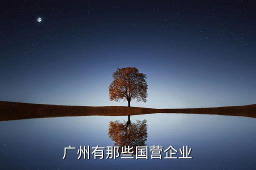 廣州國(guó)企股有什么，廣州有哪些大型國(guó)企