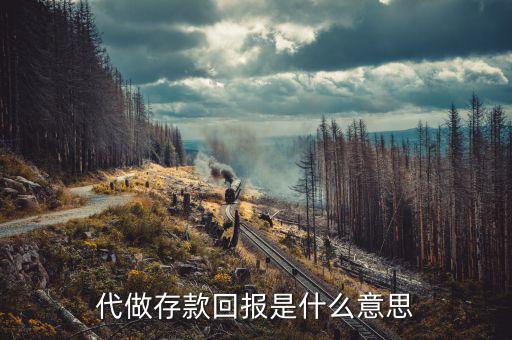 銀行存款回報什么意思，代做存款回報是什么意思