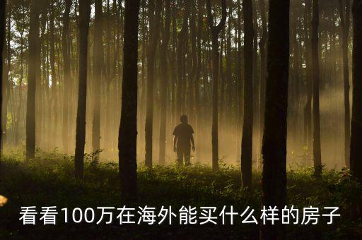 100萬(wàn)在國(guó)外能買(mǎi)什么，看看100萬(wàn)在海外能買(mǎi)什么樣的房子