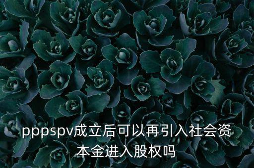 spv公司是什么意思，spv公司是獨(dú)立法人