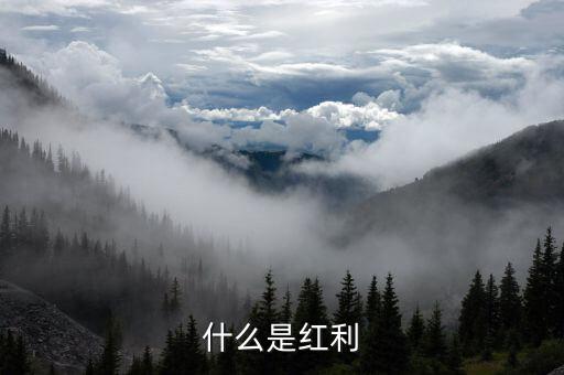什么是全球化紅利，紅利是指什么意思