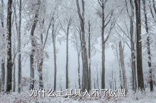 為什么土耳其無(wú)法加入歐盟，為什么土耳其入不了歐盟