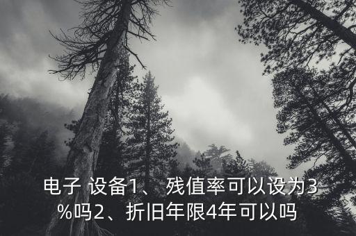  電子 設(shè)備1、 殘值率可以設(shè)為3%嗎2、折舊年限4年可以嗎