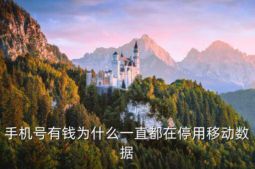 鏈動數(shù)據(jù)為什么有錢，廣東鏈動為什么那么多人認同和喜歡