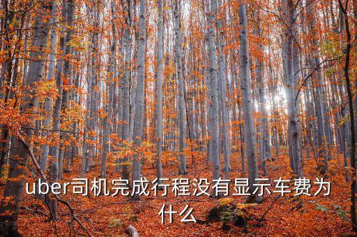 uber為什么不顯示價(jià)格，優(yōu)步叫車(chē)前看不到價(jià)格