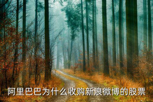 新浪微博為什么在盈利后才上市，新浪微博為何上市
