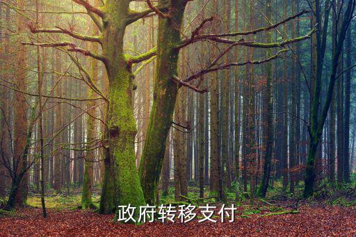 為什么政府提供實物轉(zhuǎn)移支付，一個國家為什么要執(zhí)行轉(zhuǎn)移支付制度