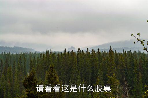 993961是什么股票，請看看這是什么股票