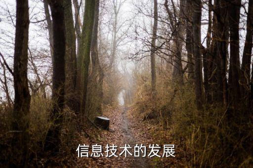 信息發(fā)展是什么板塊，中國軟件 屬于什么板塊