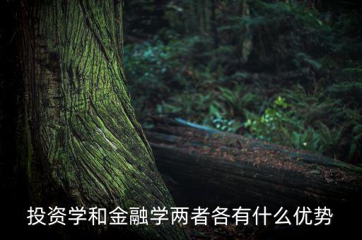 投資學有什么用，投資學和稅務學專業(yè)各自具體是學什么的以后就業(yè)前景及方