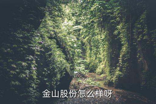 為什么沒人關注金山股份，金山股份怎么樣呀