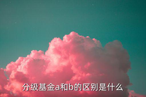 什么是a份額，分級(jí)基金A份額是什么意思