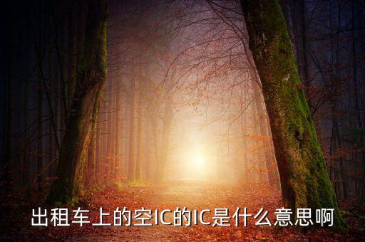 什么是ic空白卡，IC卡是什么