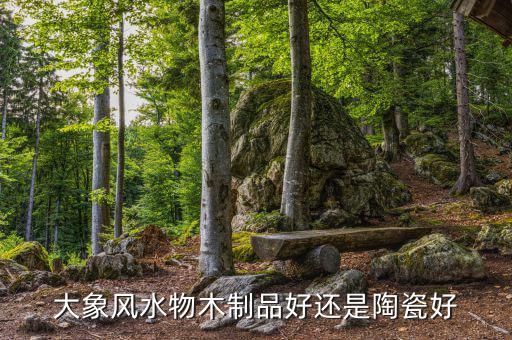 為什么大象屬金，生肖屬象所屬五行何謂