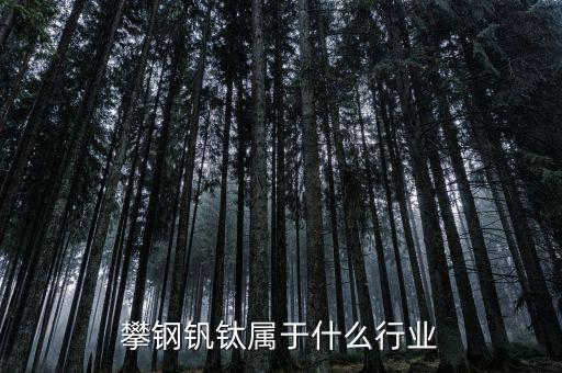 釩鈦產(chǎn)業(yè)屬于什么行業(yè)，攀鋼釩鈦屬于什么行業(yè)