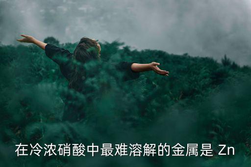 什么金屬易融難化，最不容易融化的金屬是什么想對來說便宜一點的是什么