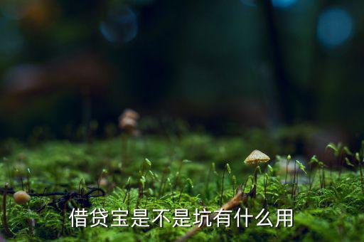 借貸寶賺利差什么意思，借貸寶賺利差是什么意思