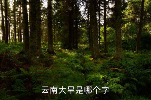 云南大旱是個什么字，云南大旱是哪個字