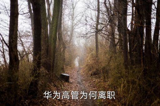 范家輝為什么離職，美國駐華大使家輝為什么宣布將辭職為什么來的如此的突然