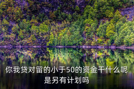 你我貸為什么我要投2萬才能減50，你我貸對(duì)留的小于50的資金干什么呢是另有計(jì)劃嗎