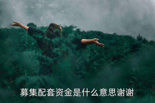 配股募資是什么意思，配股是什么意思啊