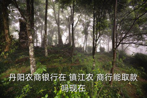 丹陽農商銀行在 鎮(zhèn)江農 商行能取款嗎現(xiàn)在
