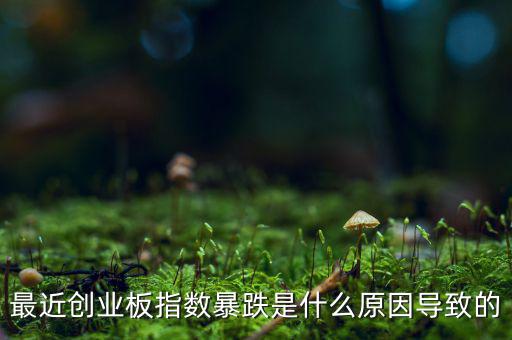 2014創(chuàng)業(yè)板指數為什么會下跌，為什么股指大幅下跌2014