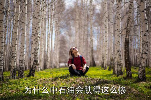 中石油上市為什么狂跌，為什么中石油會跌得這么慘