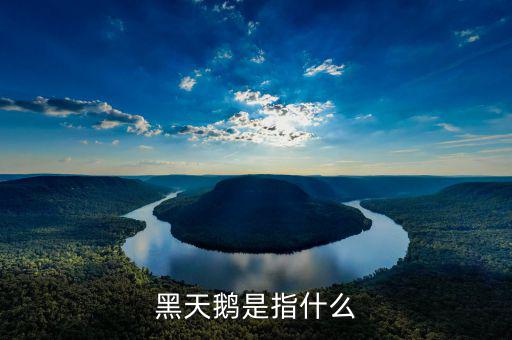 什么叫3大黑天鵝，黑天鵝是指什么