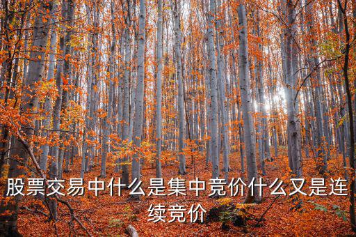 集合競(jìng)價(jià)是什么意思，股票交易中什么是集中競(jìng)價(jià)什么又是連續(xù)競(jìng)價(jià)