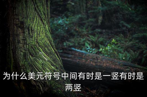 比美元符號多一豎是什么，一個很像美元的符號 但是那一豎是不貫穿S的 也就是S上面有一小豎