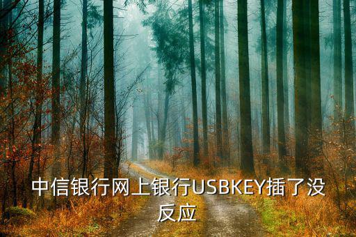 中信銀行插卡消費(fèi)為什么沒(méi)有反應(yīng)，中信網(wǎng)銀USBKEY插上沒(méi)反應(yīng)怎么回事求大神幫助