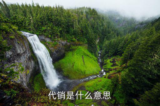 什么是代銷公司，什么叫做代銷啊有沒有拿到顧客的錢再付款的比較好的代銷公司