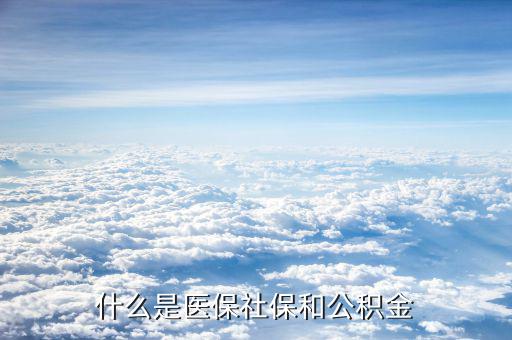 工資社保公積金是什么，什么意思啊誰能給我講講社保和公積金什么意思