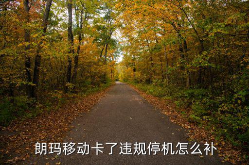  朗瑪移動卡了違規(guī)停機(jī)怎么補