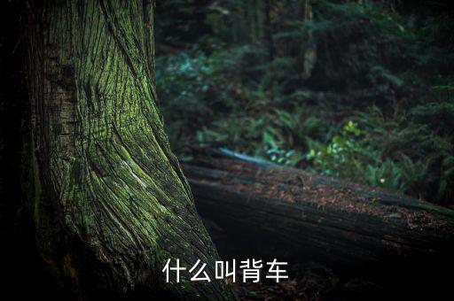 汽車(chē)背上叫什么來(lái)的，艙背車(chē)為何物