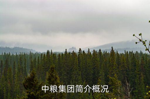 中糧什么時候開始做大米的，中糧集團簡介概況