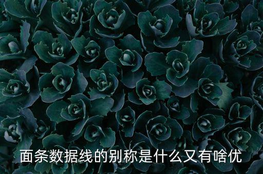 skewrons是什么牌子，skewrons是什么意思