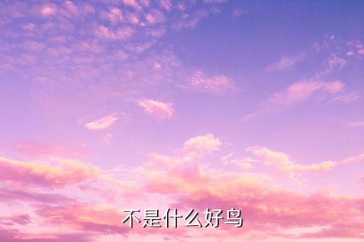 孟兵不是什么好鳥(niǎo)，不是什么好鳥(niǎo)