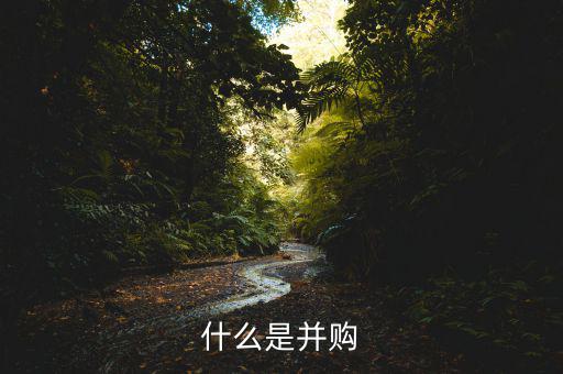 什么叫并購，什么是并購