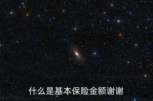 什么叫基本保險(xiǎn)金額，基本保險(xiǎn)金額是什么意思