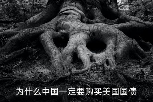 中國為什么買美國的國債，中國為什么要買那么多美國國債能不能說得通俗一點(diǎn)我不太懂經(jīng)濟(jì)