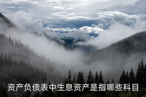什么是生息負(fù)債，什么是速動(dòng)資產(chǎn)流動(dòng)負(fù)債和生息債務(wù)