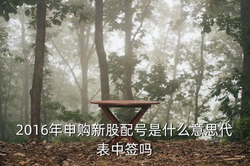 2016年申購(gòu)新股配號(hào)是什么意思代表中簽嗎