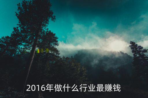 2016賺錢的行業(yè)是什么，2016年做什么行業(yè)最賺錢