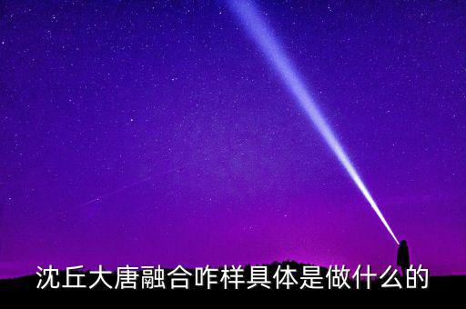 大唐融合是干什么的，沈丘大唐融合咋樣具體是做什么的