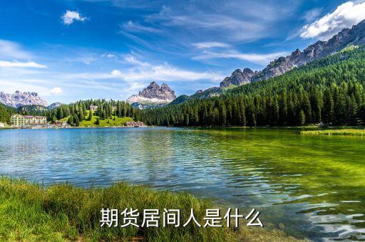 期貨居間人干什么的，期貨居間人是什么