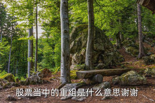 什么是重組，重組在電腦術(shù)語中什么意思