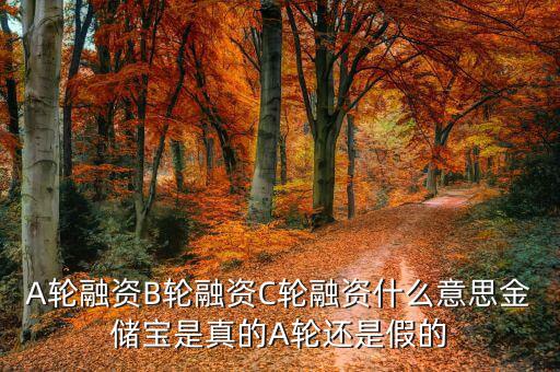 幾輪融資是什么意思，A輪融資B輪融資是什么意思